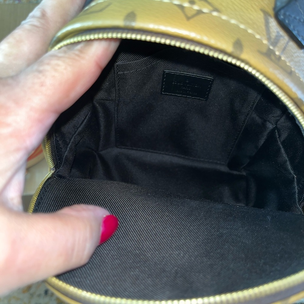Louis Vuitton Reverse Monogram Palm Springs Mini Backpack - Picture 11 of 12
